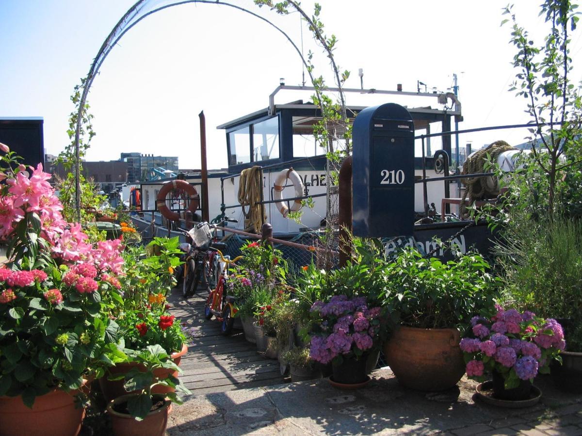 Boat & Breakfast Alhena Bed and Breakfast Amsterdam Eksteriør billede